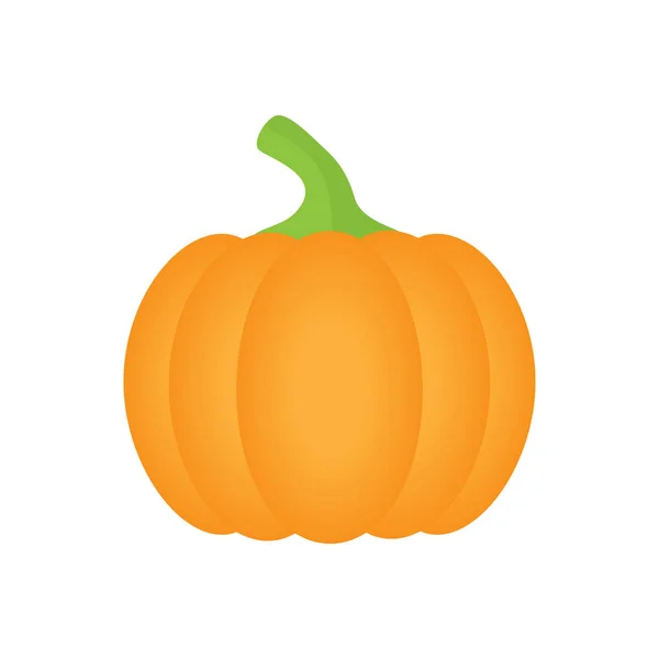 Oranje Pompoen Vector Illustratie Herfst Halloween Thanksgiving Pompoen Plantaardige Grafische — Stockvector