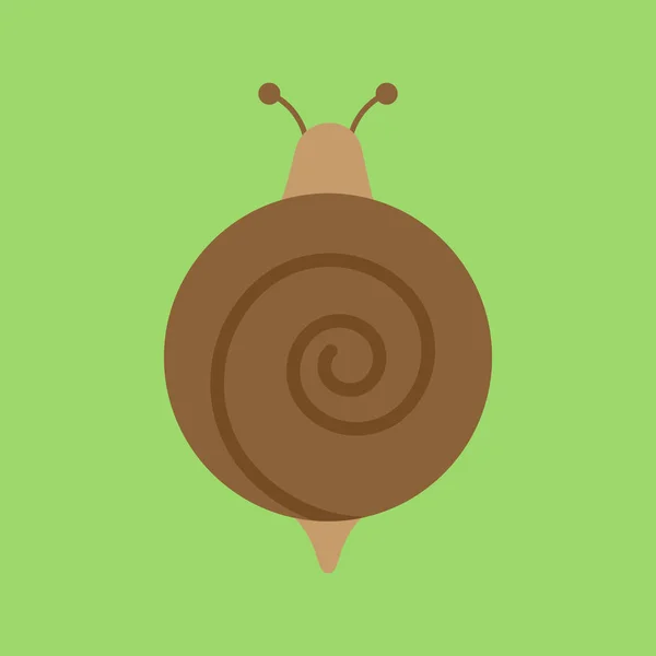 Icône Graphique Vectorielle Ronde Escargot Mignon Escargot Brun Illustration Animaux — Image vectorielle