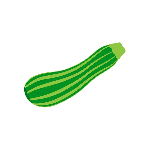 Randig Grön Zucchini Vektor Illustration Säsongens Zucchini Grönsaks Ikon Isolerad — Stock vektor