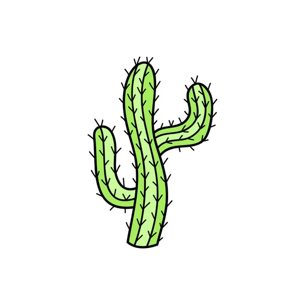 Jolie Illustration Vectorielle Cactus Dessinée Main Vert Mexicain Cactus Désert — Image vectorielle