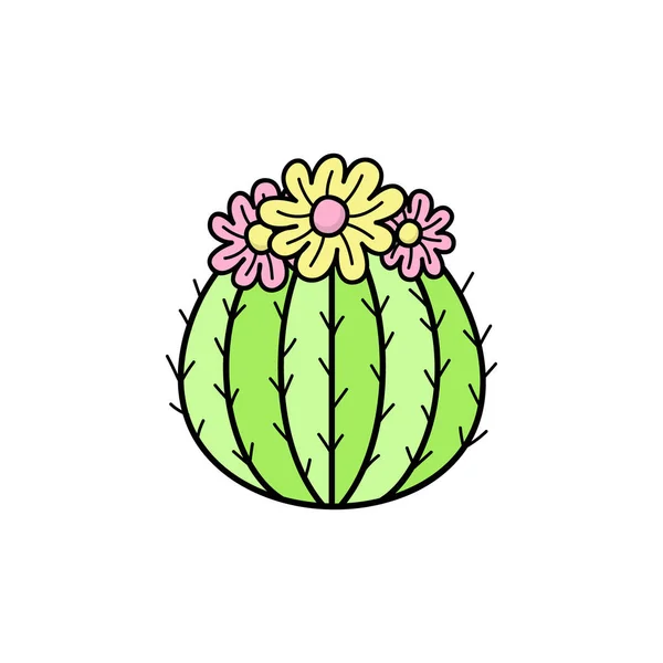 Cactus Dessiné Main Illustration Vectorielle Plantes Cactus Avec Des Fleurs — Image vectorielle
