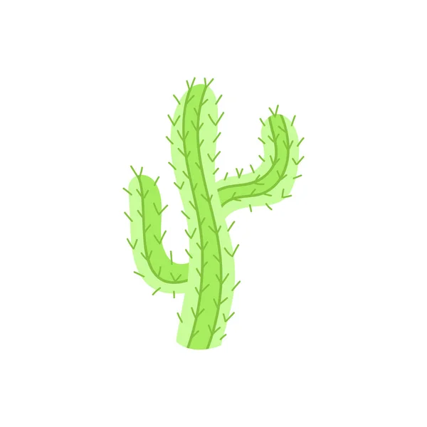 Linda Ilustración Vectorial Dibujado Mano Cactus Verde Mexicano Cactus Del — Vector de stock