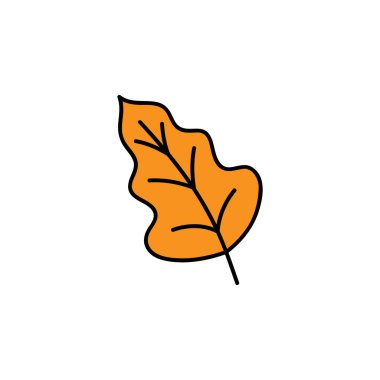 Yaprak vektörü çizimi. El çizimi güzel bir sonbahar portakal meşesi yaprağı. Ayrı karikatür grafik simgesi.