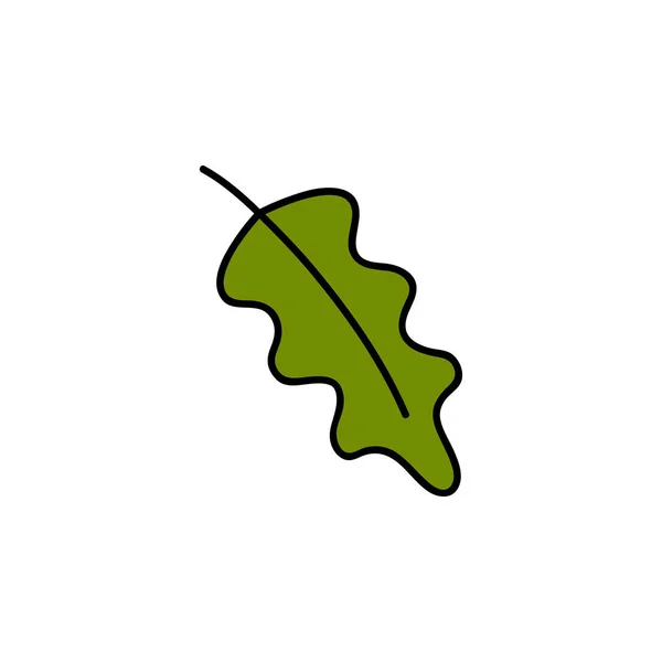 Leaf Vector Illustration Hand Drawn Cute Autumn Green Oak Leaf — Stok Vektör