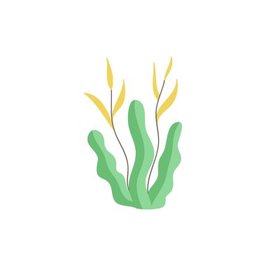 Deniz yosunu sevimli vektör çizimi. El çizimi okyanus, deniz, deniz yeşili deniz yosunu. İzole edilmiş.