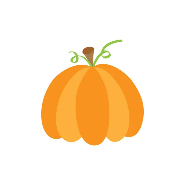 Otoño Calabaza Vector Ilustración Calabaza Otoño Dibujada Mano Aislado — Vector de stock