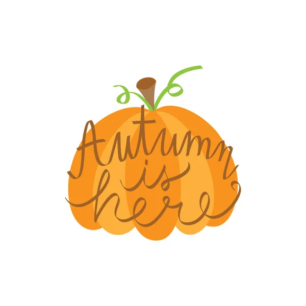 Autumn Here Pumpkin Vector Illustration Hand Drawn Fall Pumpkin Vegetable — Stock Vector