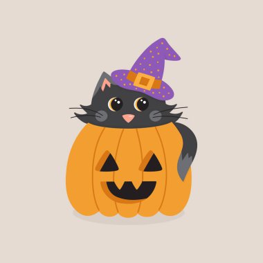 Balkabağı vektör illüstrasyonunda şirin bir kedi. Cadılar Bayramı 'nda balkabağı oyulmuş cadı şapkalı kara kedi çizimi. İzole edilmiş.