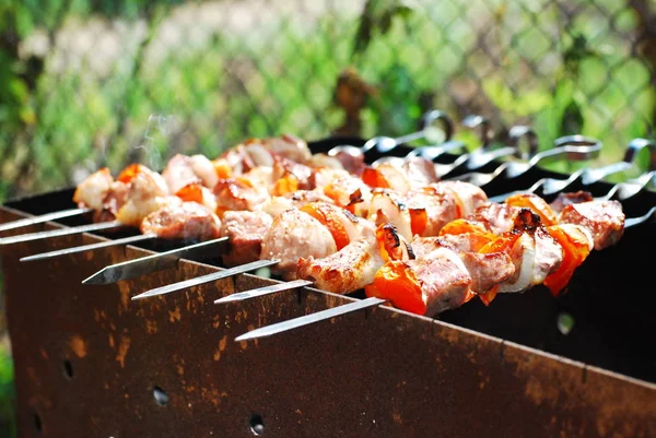 Matlagning Kebab Grillen — Stockfoto