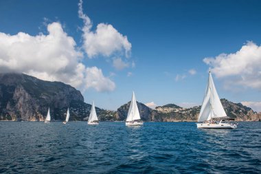 Denizde Yelkenli tekne yat veya Yelkenli grup yarışı yarış