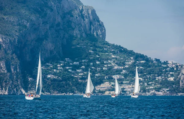 Fleet of sailing boats during  race