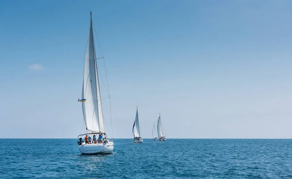 Flota Veleros Durante Regata Imágenes de stock libres de derechos