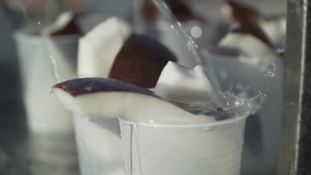 Шматочки Кокосу Лежать Чашках Вода Дуже Красива — стокове відео