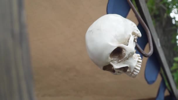 Human Skull Hanging Hook — Stock Video