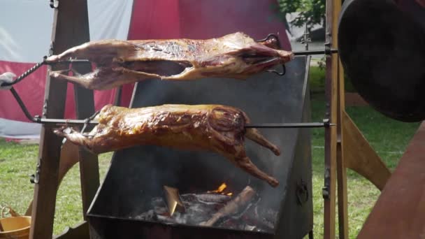 Heerlijke Varkens Met Een Ruddy Korst Roosteren Het Vuur — Stockvideo