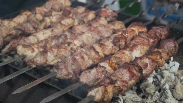 Jugosos Deliciosos Kebabs Con Una Corteza Rojiza Parrilla Ahumado Sobre — Vídeo de stock