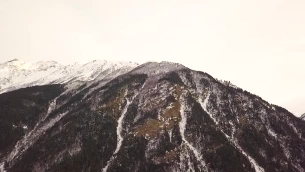 Besneeuwde berg in bewolkt weer, er zijn veel bomen op de berg — Stockvideo