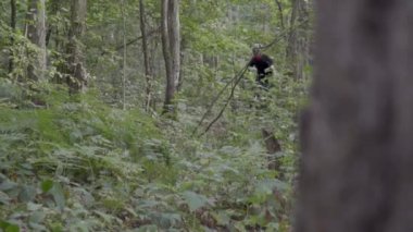 iki bisikletçiler bir orman yolu boyunca binmek