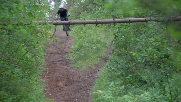 Dos ciclistas pasan a lo largo de un sendero forestal uno tras otro, bajo un árbol — Vídeo de stock