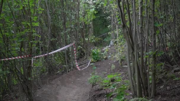 Il ciclista scende lungo una strada sterrata, circondato da alberi — Video Stock