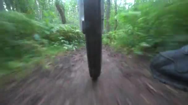 En cyklist Rider längs en skogsväg, tar kameran bort från under ramen — Stockvideo