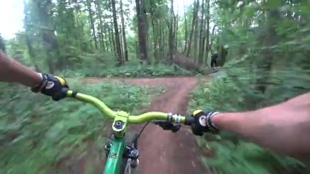 Cyklist rider genom skogen för en annan cyklist, härkomst från berget — Stockvideo