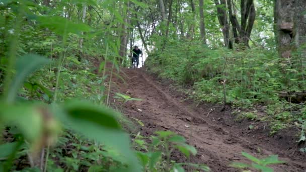Biciklista lovagol mentén egy erdei ösvény, gyorsan elhalad, szennyeződés repül a kamera — Stock videók