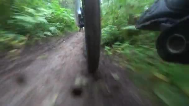 Un ciclista monta a lo largo de un camino forestal, la cámara se quita de debajo del marco — Vídeo de stock