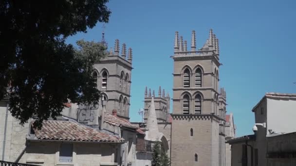 Montpellier, Frankrike - 17 juni 2019: Fåglar flyger mot bakgrund av ett slott — Stockvideo