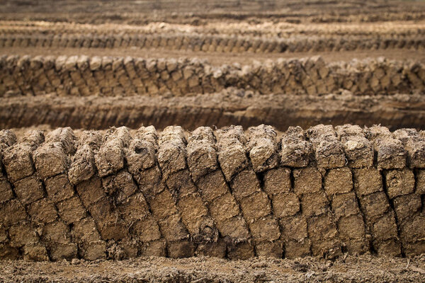 peat extraction, turf blocks piled up to dry, industrial nature destruction of a raised bog