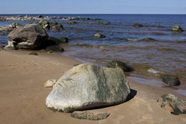 Riga Körfezi'nde taşlı plaj, Baltık Denizi, Letonya