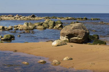 Riga Körfezi'nde taşlı plaj, Baltık Denizi, Letonya