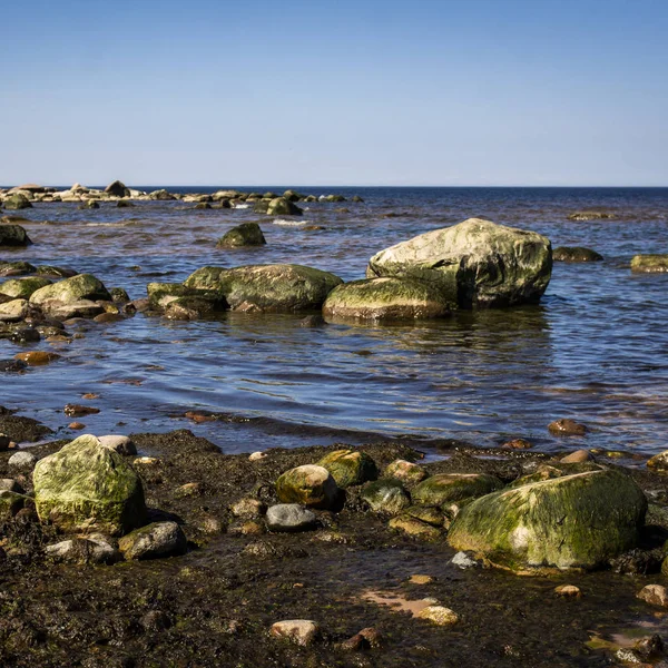 Stony Beach Gulf Riga Baltic Sea Latvia — Stock Photo, Image