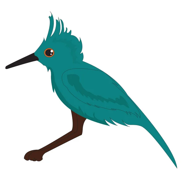 Vector Niebieski Ptak Charakter Kreskówka Projekt Ilustracja Wektorowa — Wektor stockowy