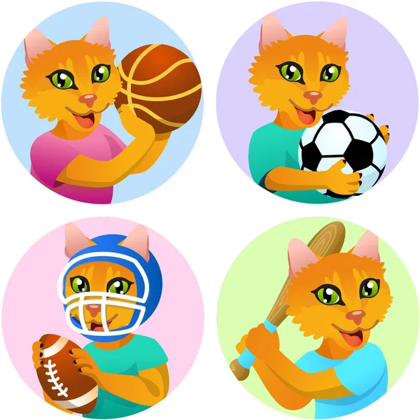 Sport Emblems Basketball Soccer American Football Baseball Domestic Cat Shirt — Stock Vector