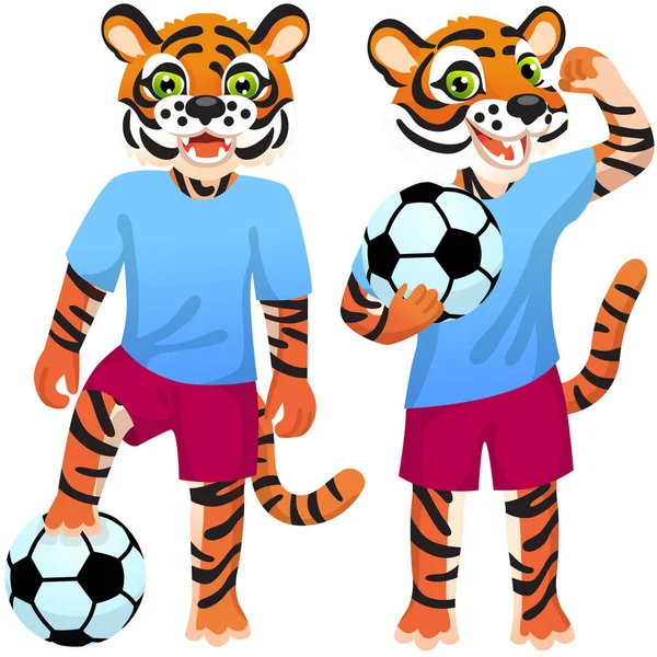 Deux Tigres Debout Comme Footballeurs Uniforme Avec Ballon Football — Image vectorielle