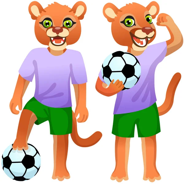 Twee Staande Cougars Als Voetballers Uniform Met Voetbal Bal — Stockvector