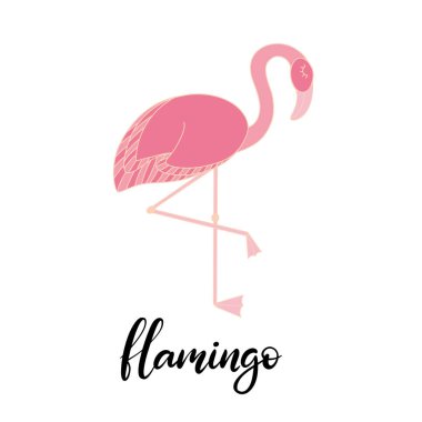 Flamingo, tropikal yazı illüstrasyon bırakır.