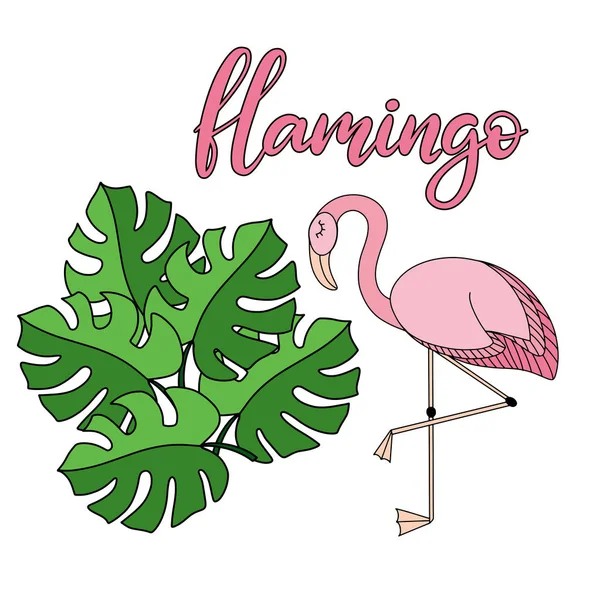 Flamingo, tropiska lämnar bokstäver illustration — Stock vektor