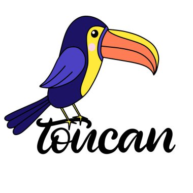 Toucan yazı vektör çizim