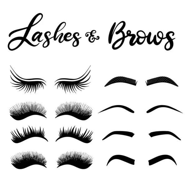 Lashes lettering vector illustration — Stock Vector