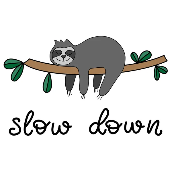 Cute sloth with lettering vector illustration.
