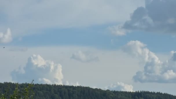 Nori Plutind Deasupra Pădurii — Videoclip de stoc