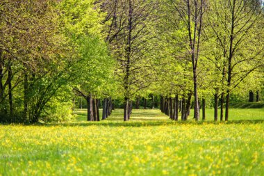 bahar Park doğanın güzel renkleri