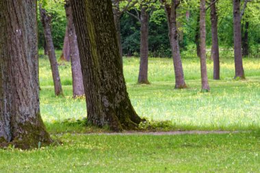 bahar Park doğanın güzel renkleri