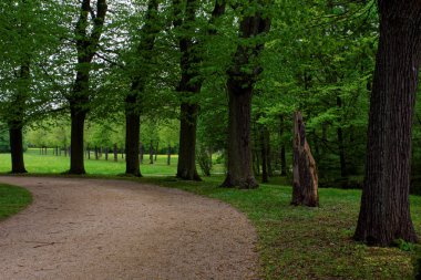 bahar Park doğanın güzel renkleri