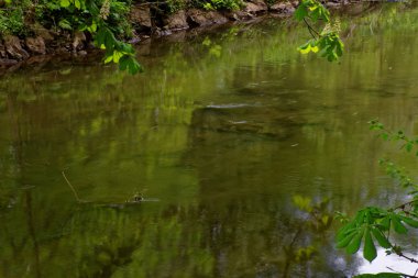 bahar Park doğanın güzel renkleri