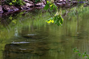 bahar Park doğanın güzel renkleri