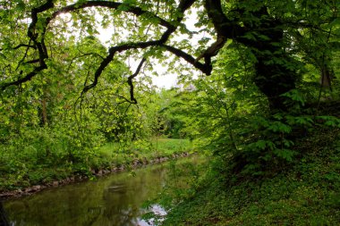 bahar Park doğanın güzel renkleri