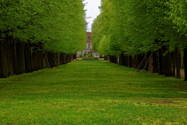 Beautiful Colors Nature Spring Park — Stock Photo, Image